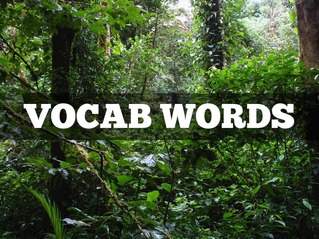 Vocabulary Presentation 