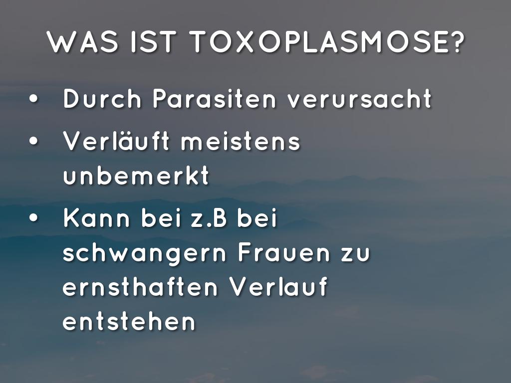 Haiku Deck in Aktion