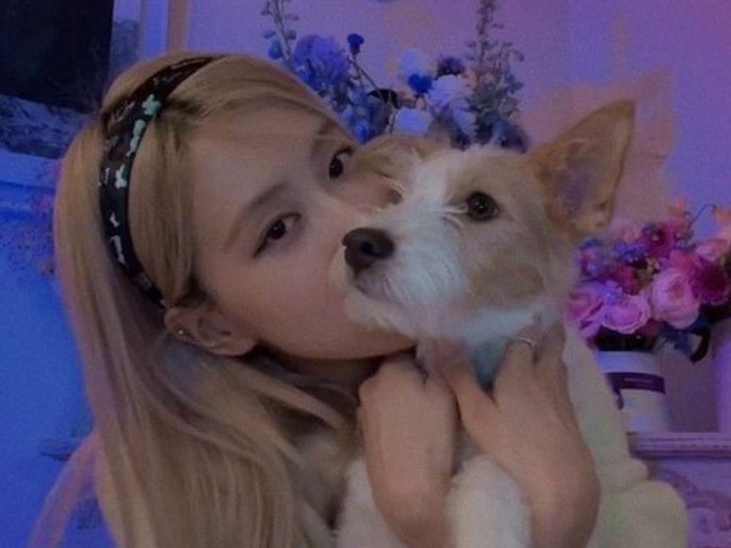 The nào la he thong Seo Website Backlinks da tang