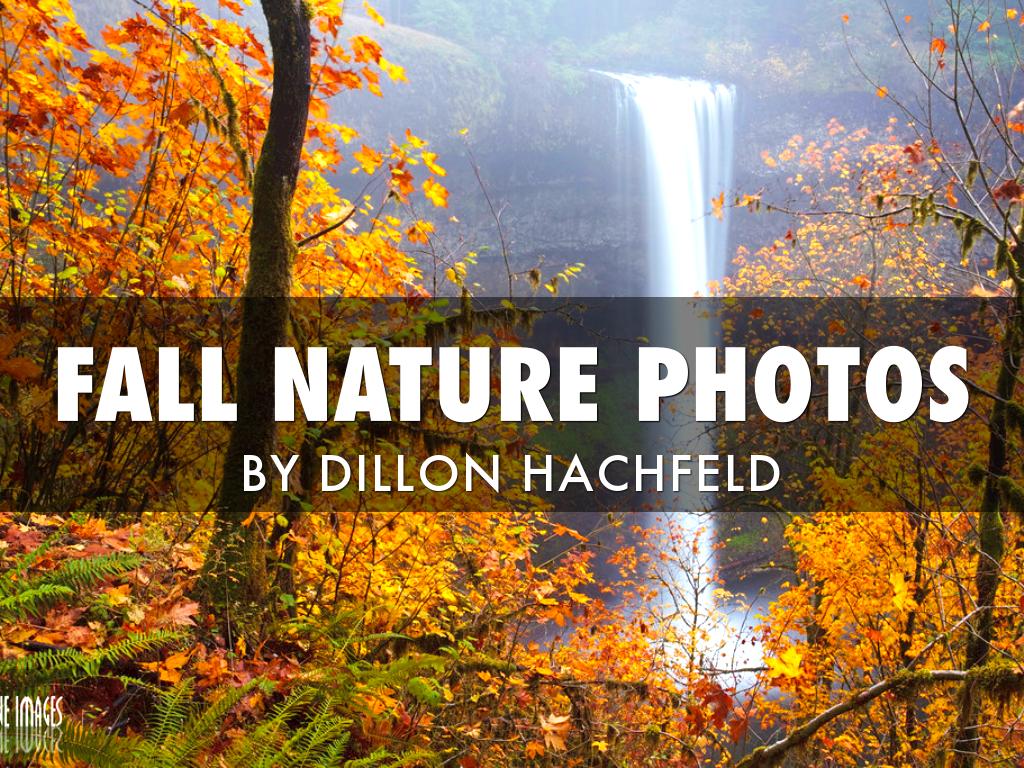 Copy of Fall Nature Photos By Dillon H.