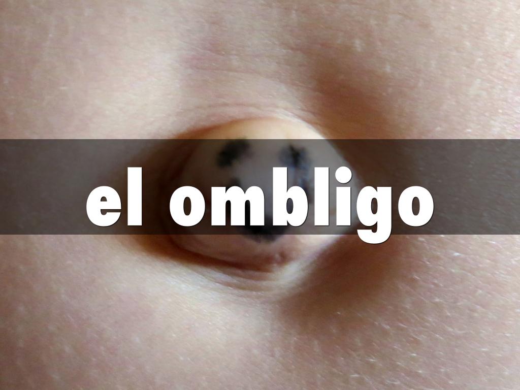 Las partes del cuerpo by Catherine Frost