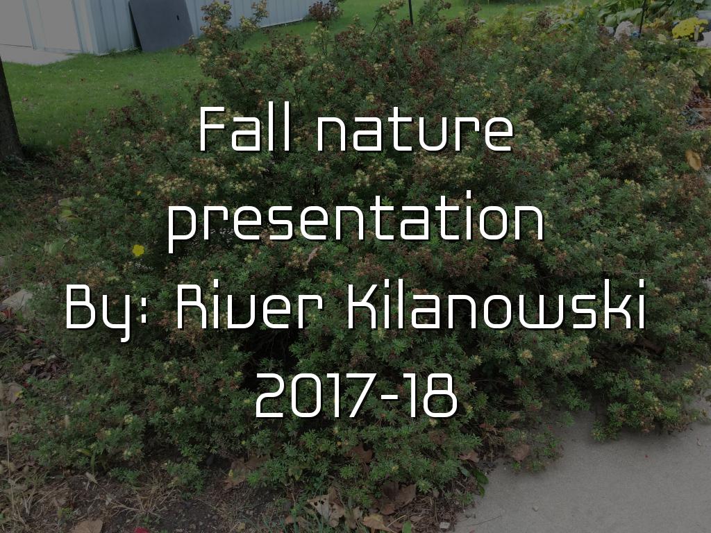 Fall Presentation 