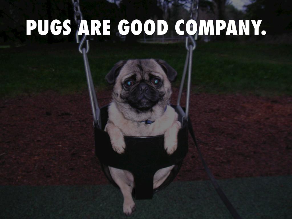 Pugs