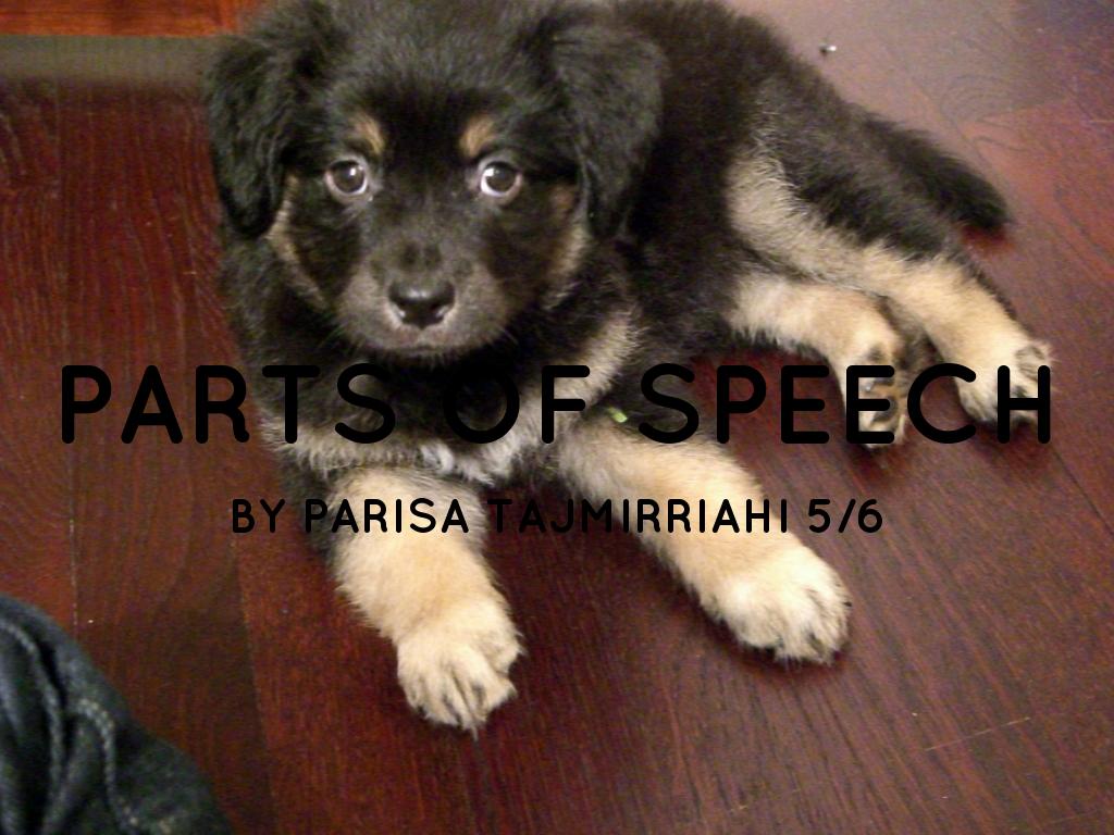 Parts Of Speech