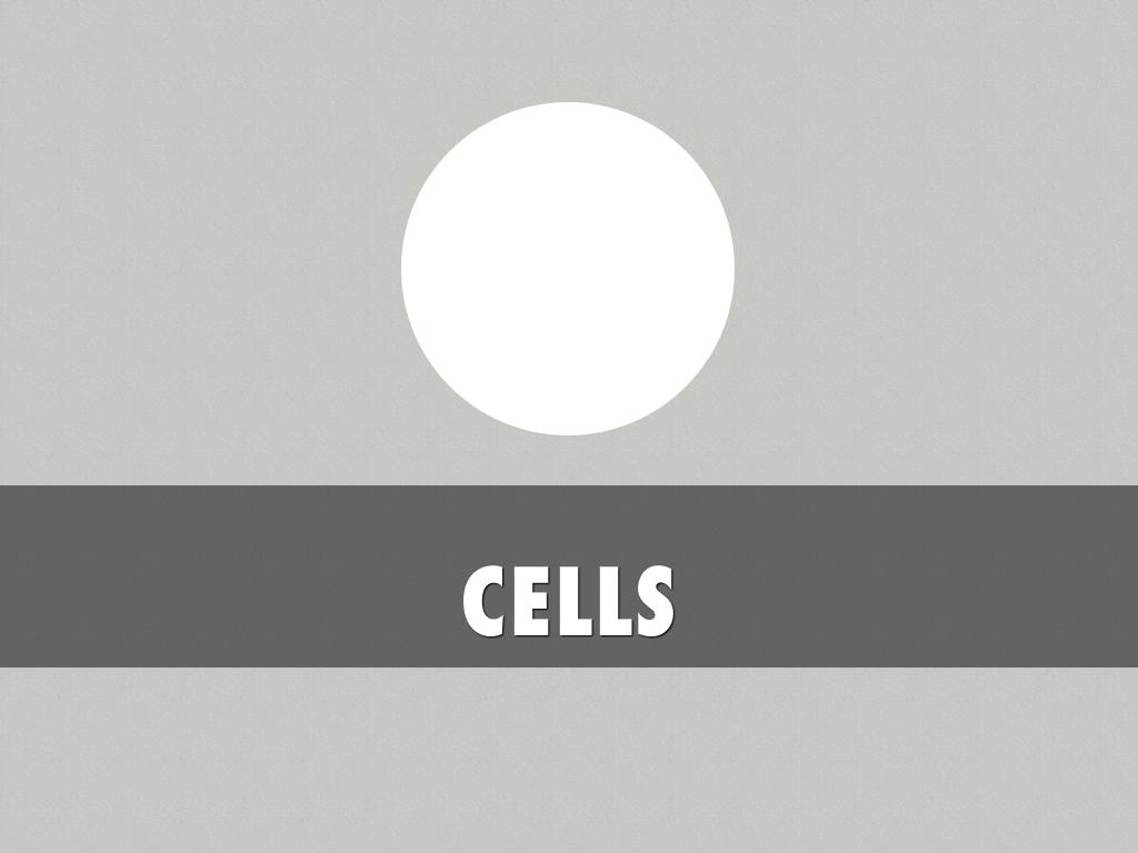 Cells