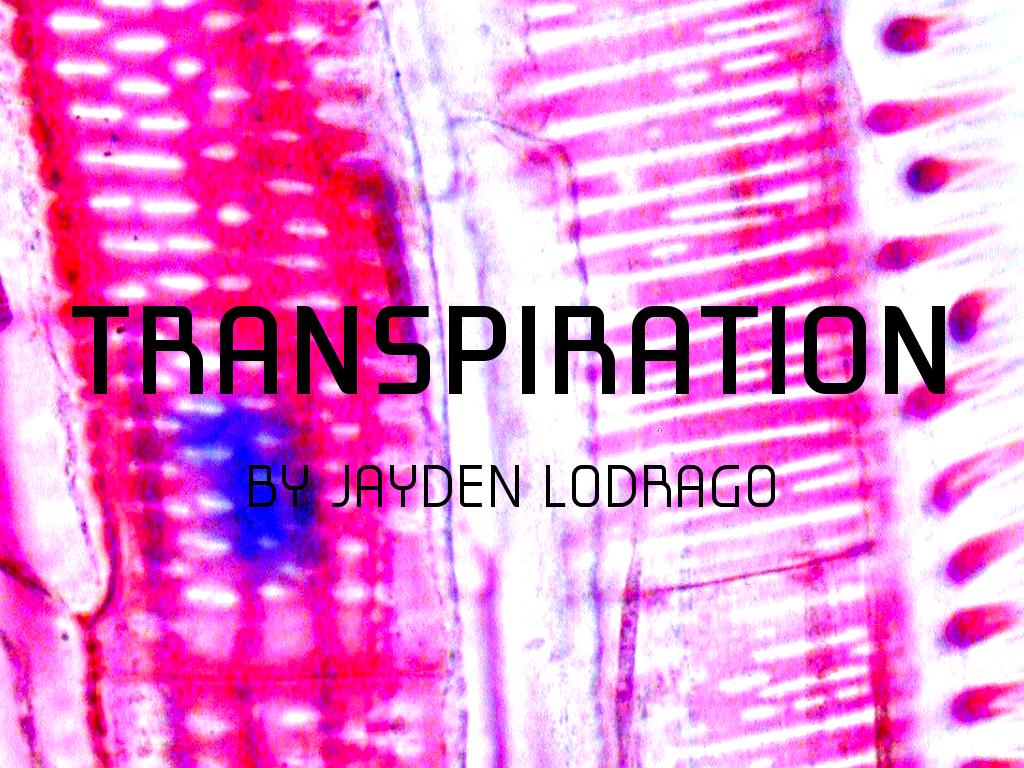 Transpiration 