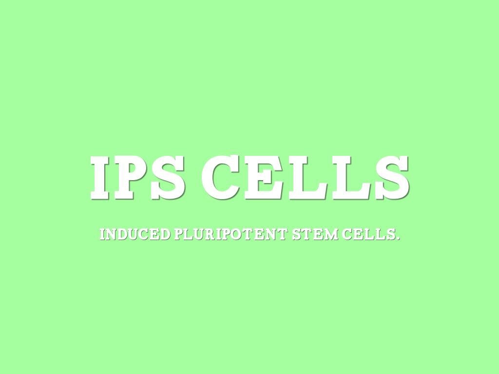 IPS Cells