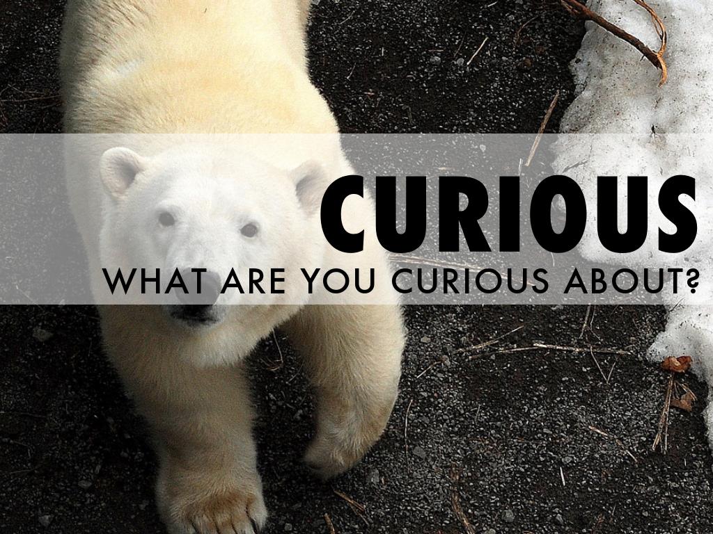 Copia de Writing Informational Stories