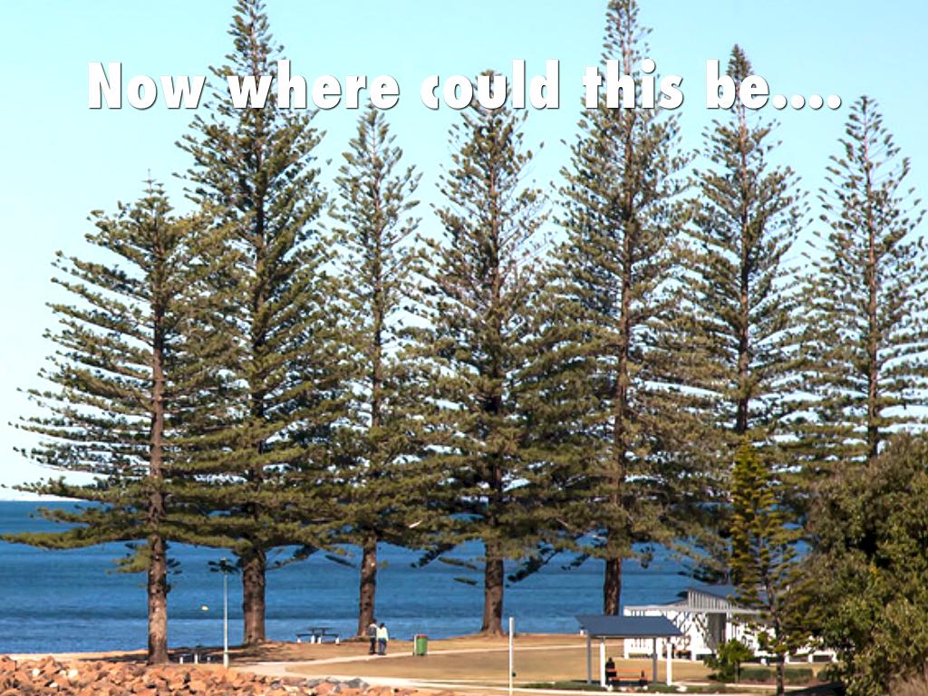 You Have To Guess ......