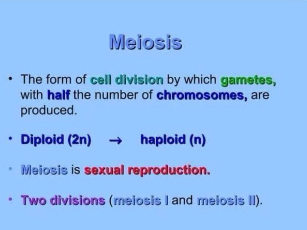 Meiosis