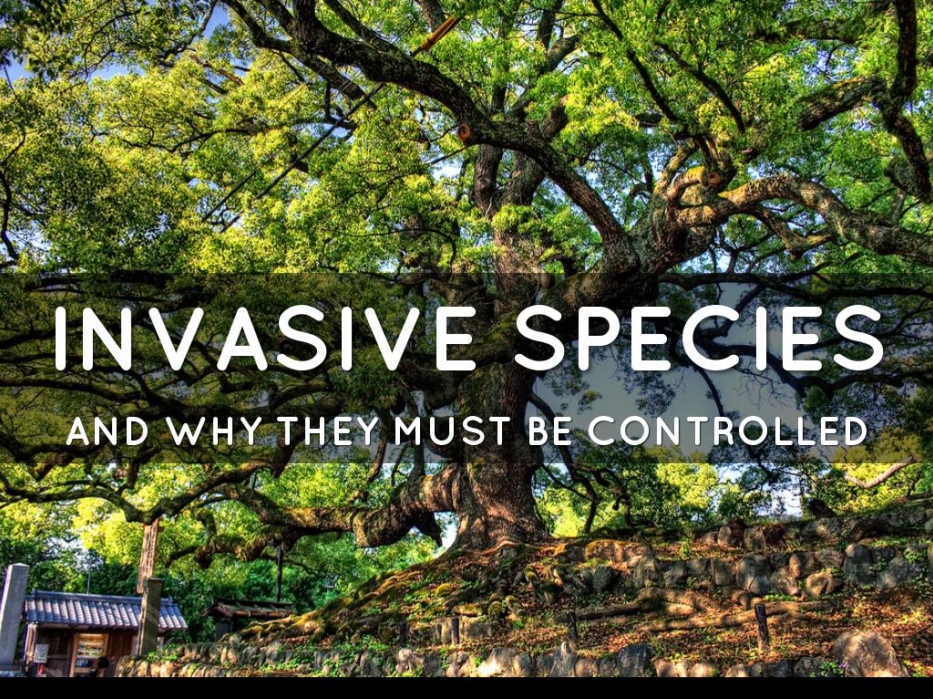 Invasive Species