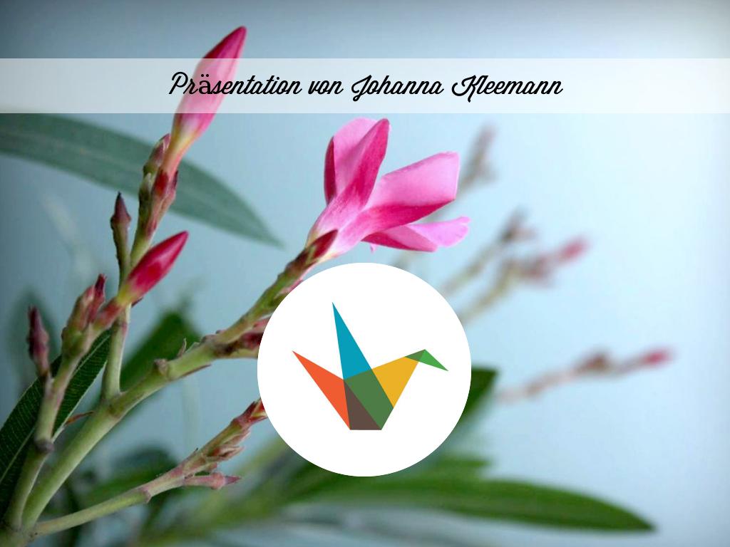 Kopie von Customer Quotes & Testimonial Examples