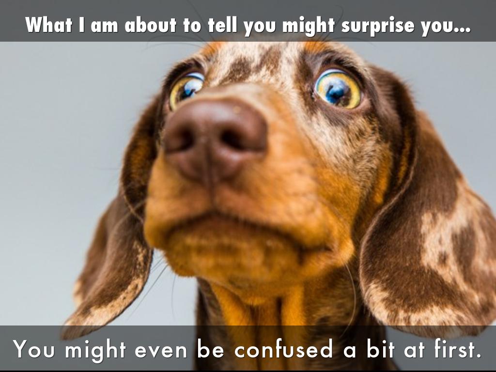 Genius Hour with Passion Project