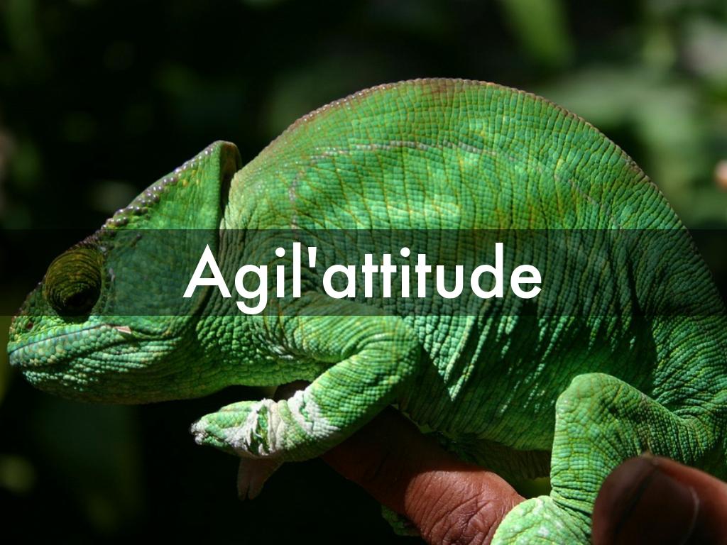 Améliorer et entretenir son agilité.