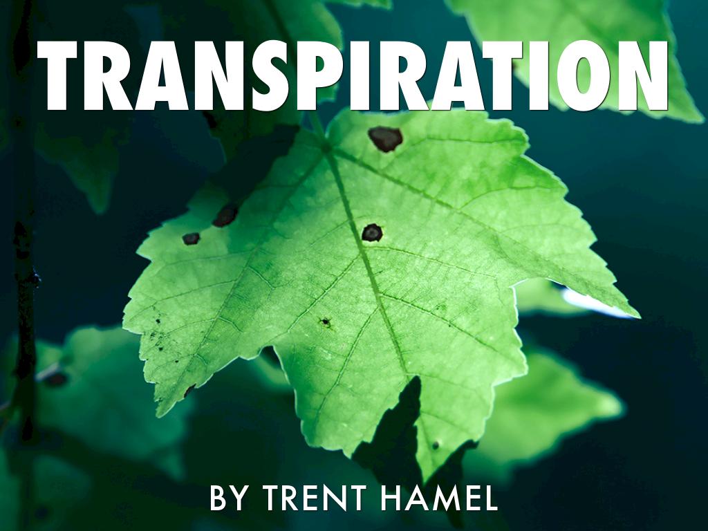 Transpiration