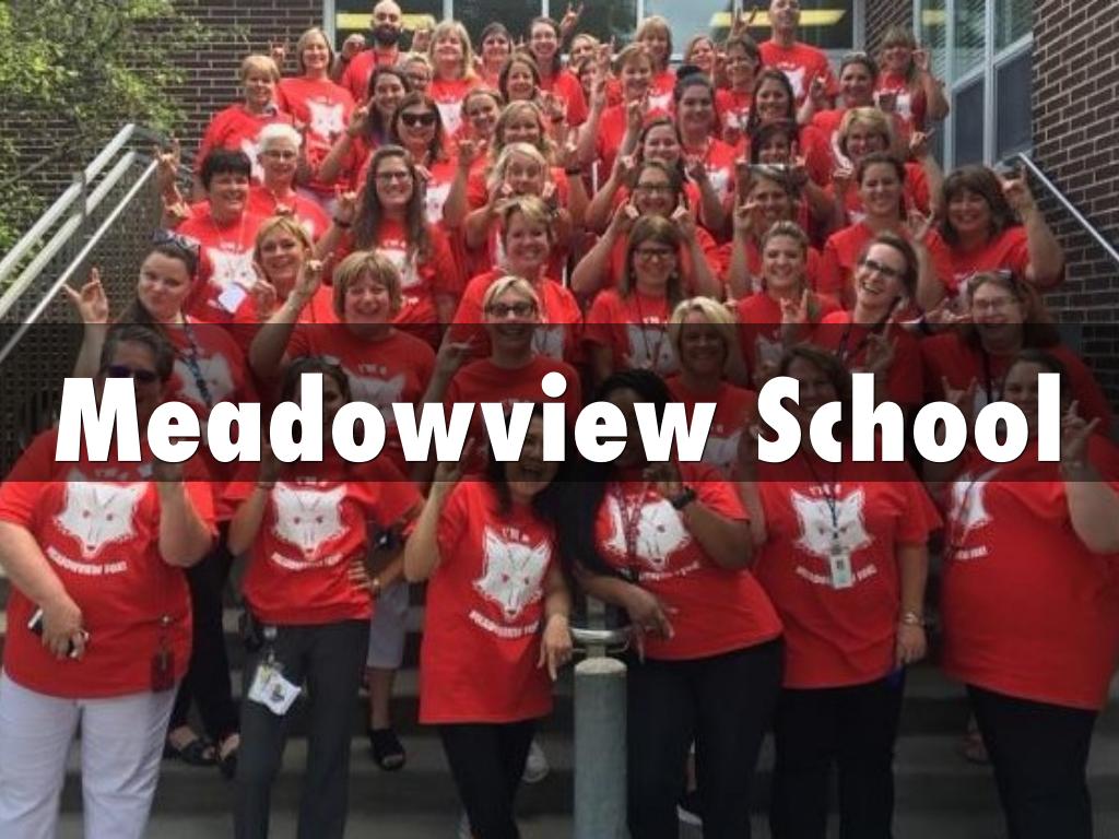 Meadowview School