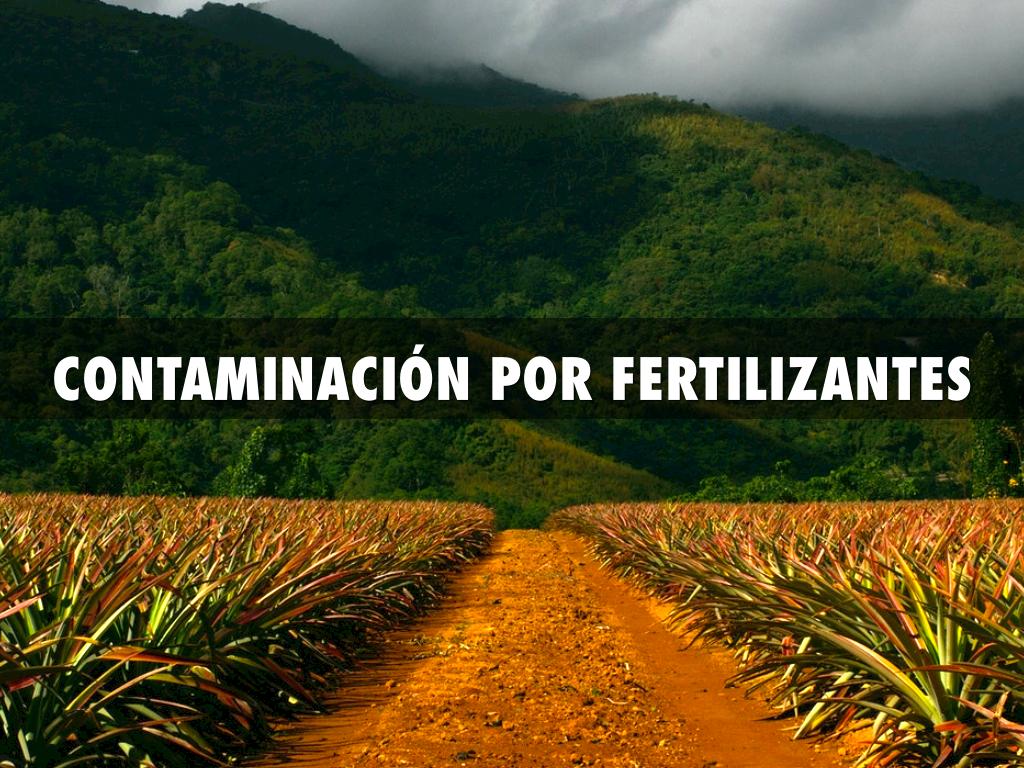 ContaminaciÃ³n Por Fertilizantes 