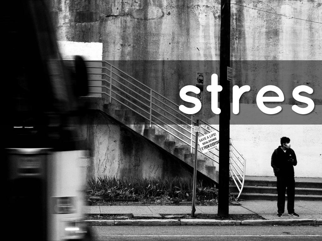 <font style="vertical-align: inherit;"><font style="vertical-align: inherit;">çocuklarda stres oranları </font></font>