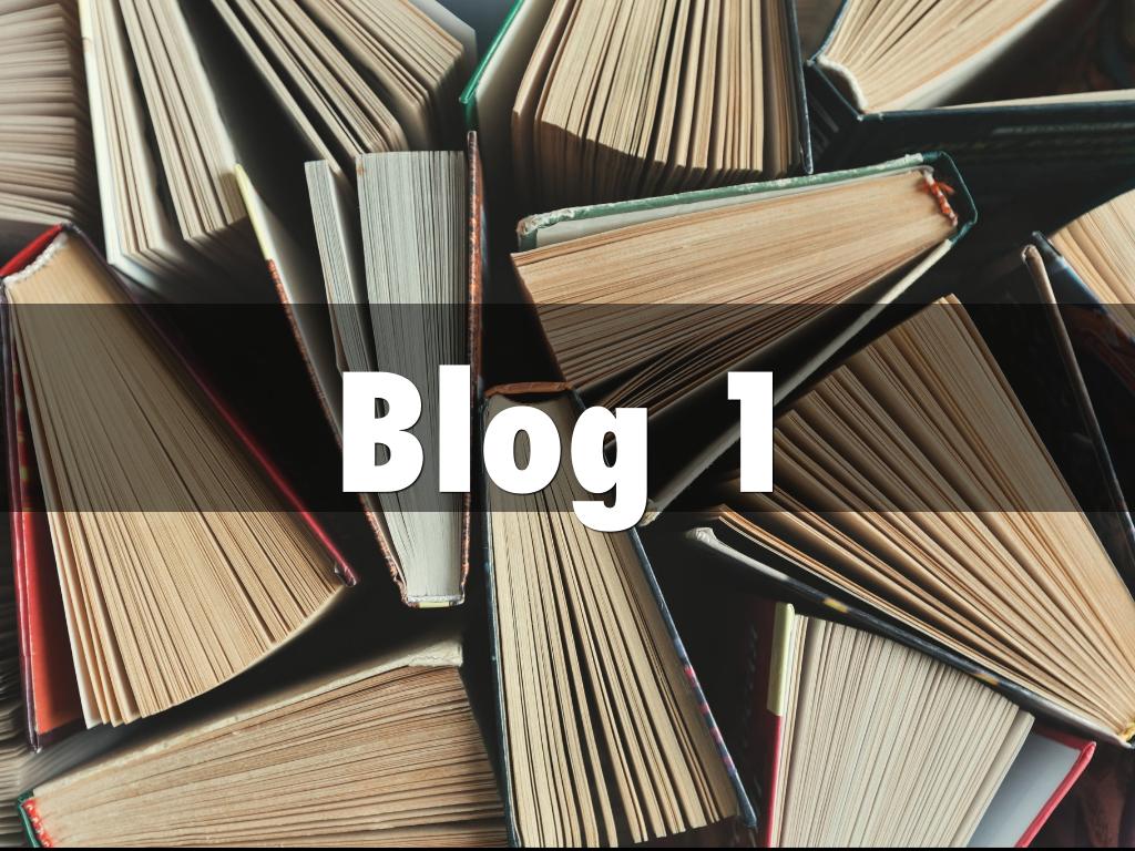 Blog 1