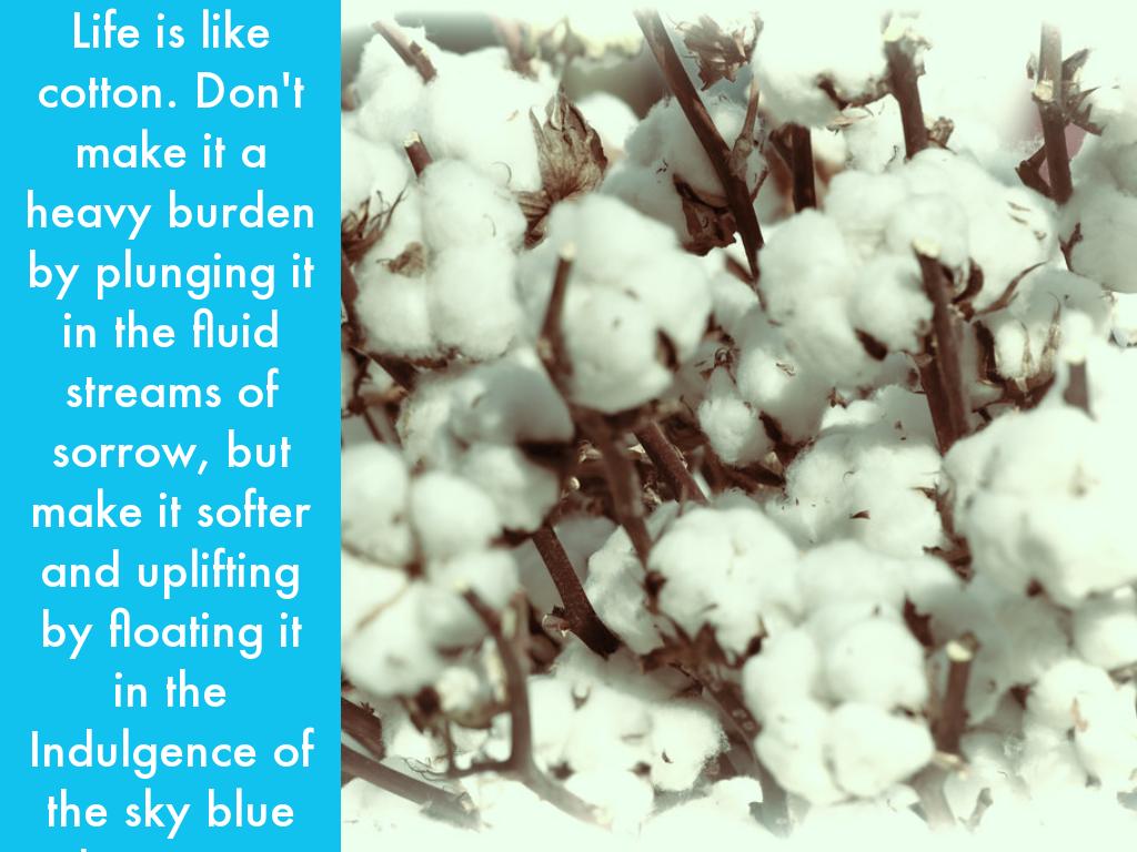 COTTON