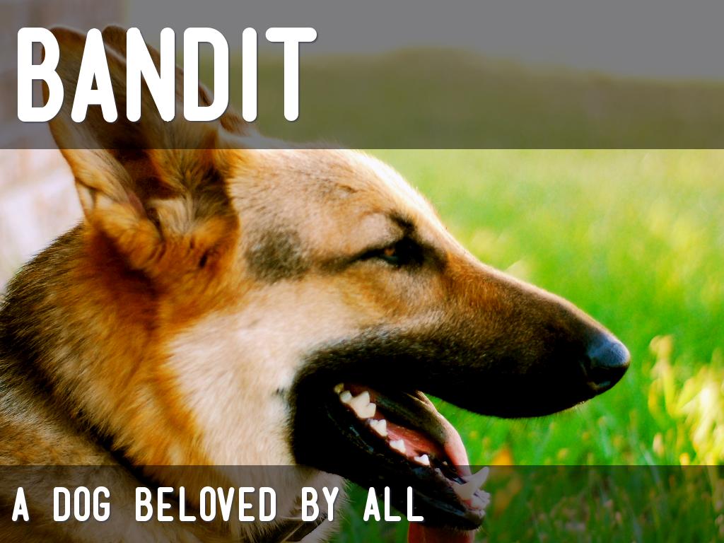 BANDIT 
