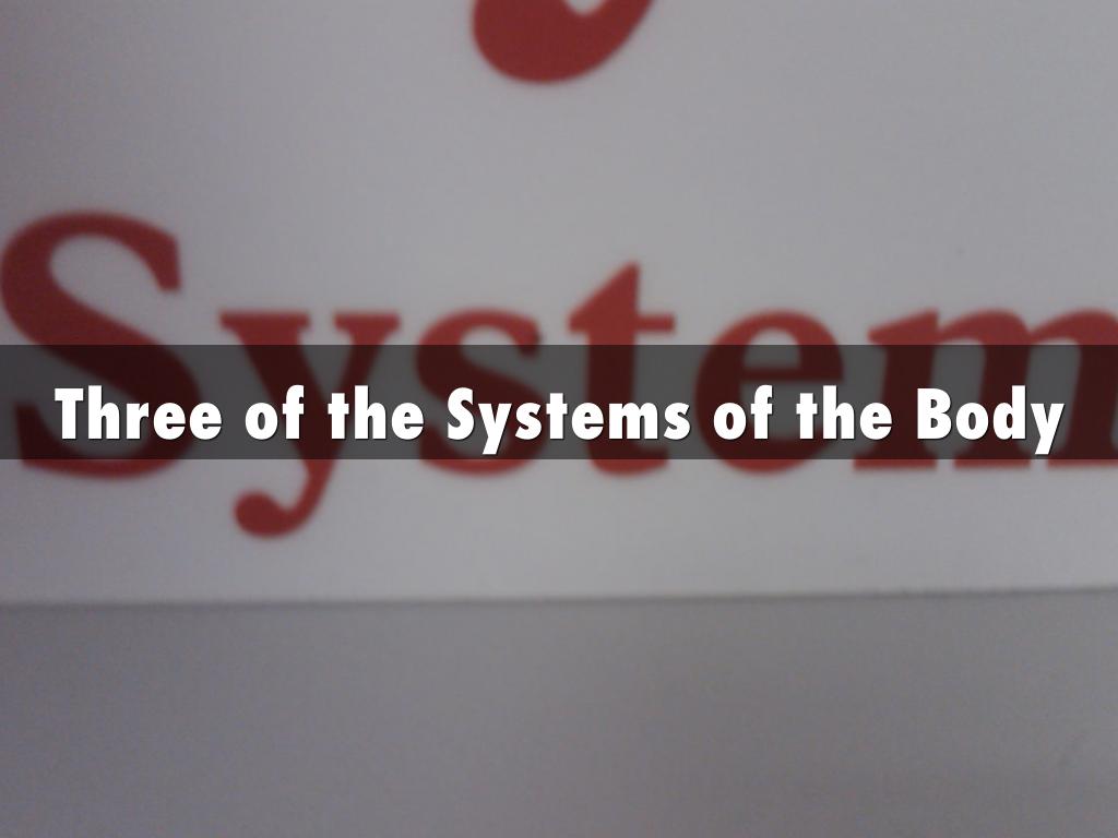 Three of the Systems of the Body