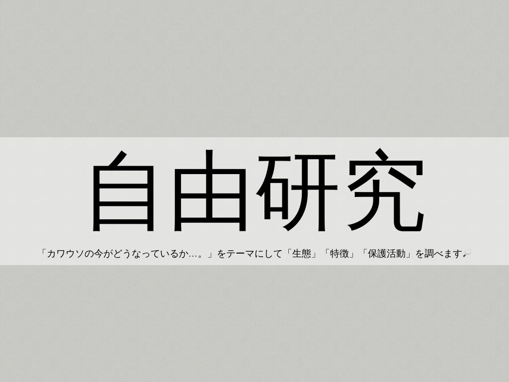 ãã£ã¡ãã