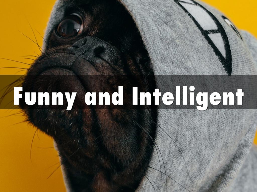 Funny and Intelligent