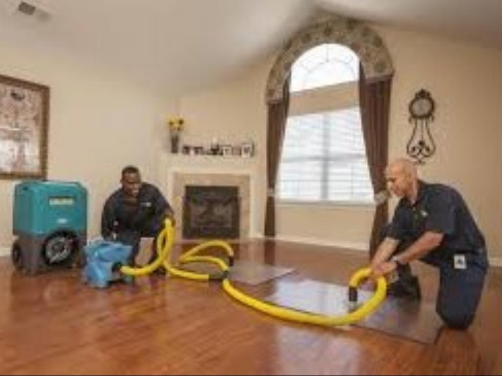 Top-Rated Water Damage Restoration Company in Boca Raton, FL: Fast, Reliable, and Efficient