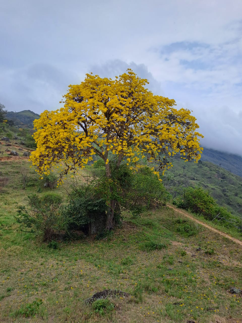Haiku Deck en acciÃ³n